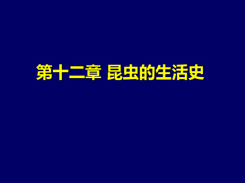 昆虫的生活史