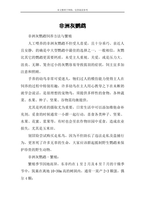 非洲灰鹦鹉