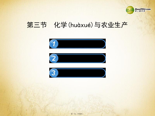 九年级化学下册 11.3 化学与农业生产课件 (新版)鲁教版