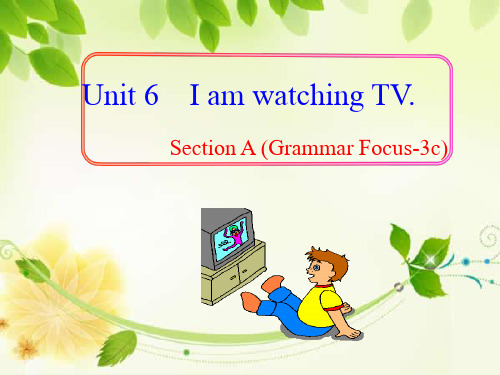 人教版 七下 Unit6 SectionA Grammar Focus—3c课件(共39张PPT)