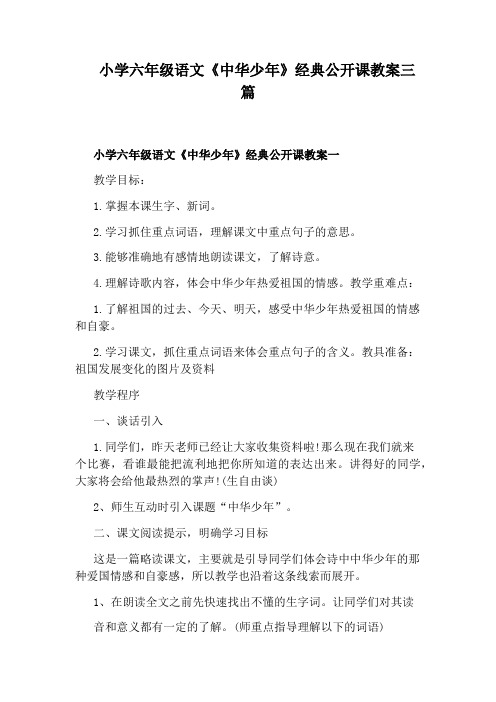 小学六年级语文《中华少年》经典公开课教案三篇