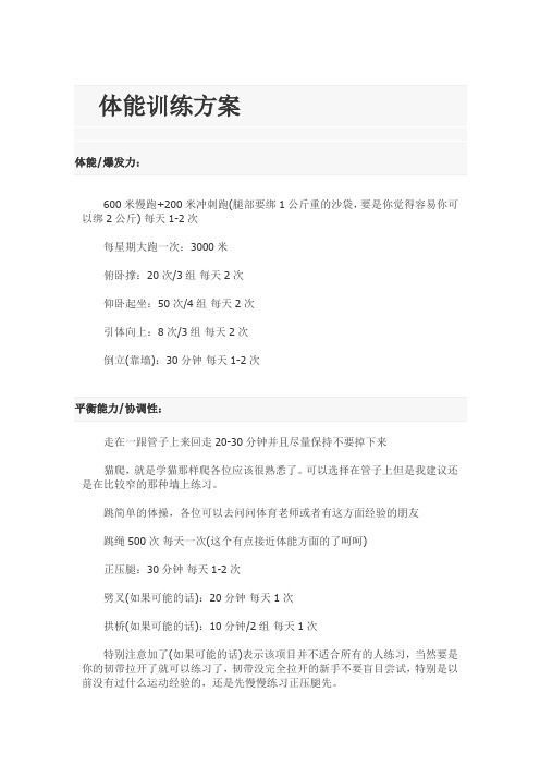 体能训练方案