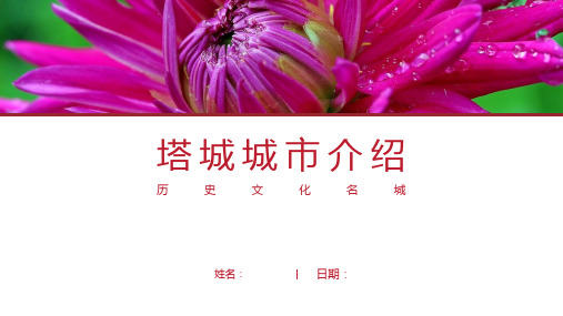 塔城介绍-塔城简介PPT(经典版)