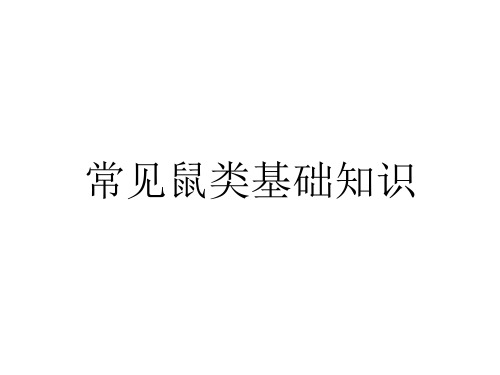 常见鼠类基础知识
