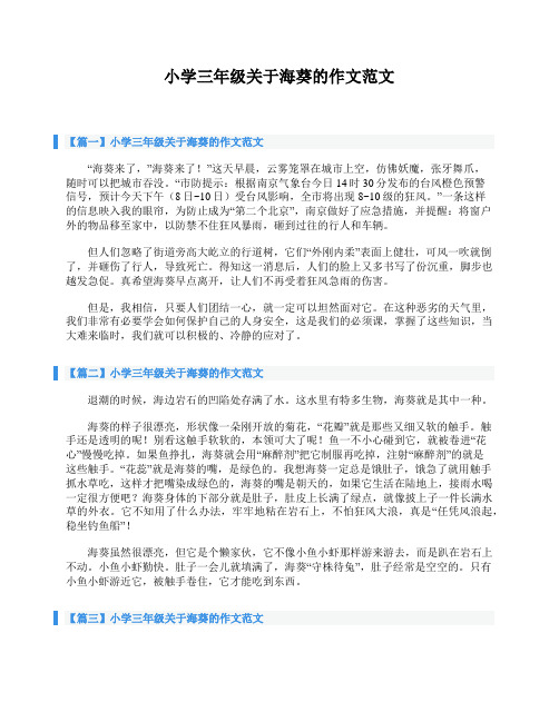 小学三年级关于海葵的作文范文