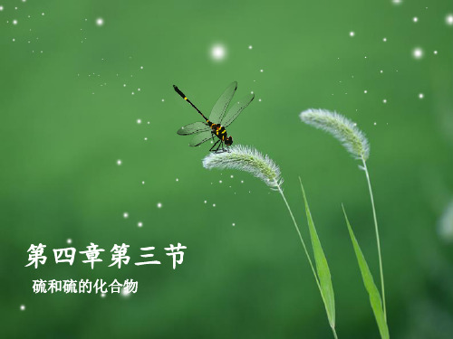人教版高一化学必修一第四章第二节硫和硫的化合物PPT课件