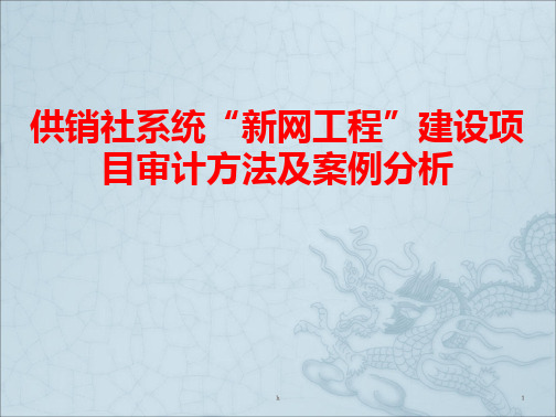 供销社系统“新网工程”建设项目审计方法及案例分析