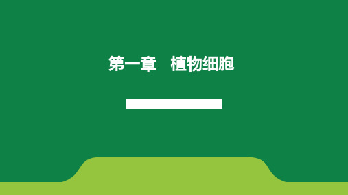 第一章  植物细胞-植物细胞壁