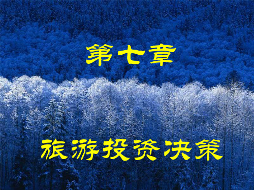 第7章旅游投资与决策.pptx