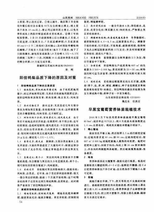 早黑宝葡萄营养钵苗栽植技术