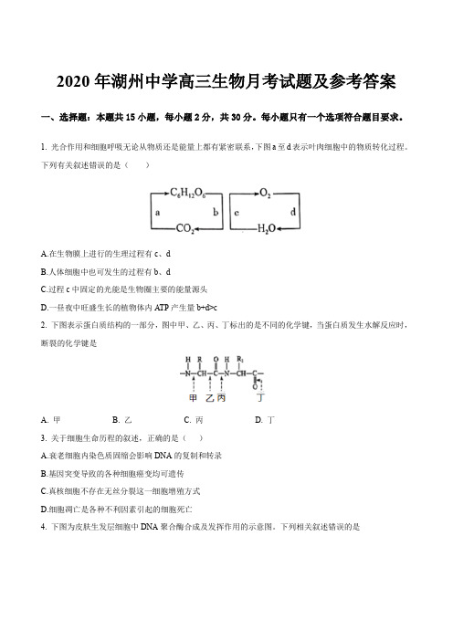2020年湖州中学高三生物月考试题及参考答案