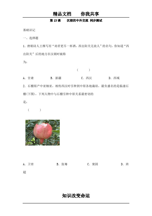 七年级历史汉朝的中外交流同步测试题