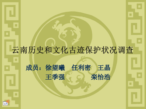 云南历史和文化古迹保护状况调查