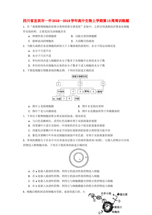 四川省宜宾市一中2018—2019学年高中生物上学期第13周周训练题