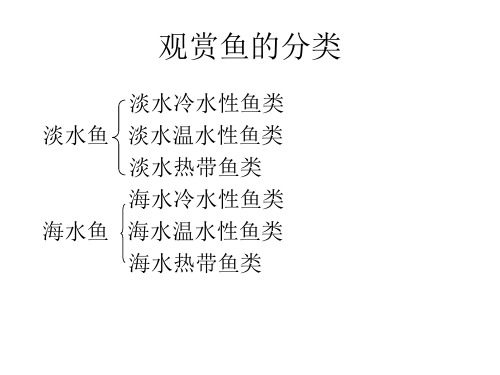 常见观赏鱼品种