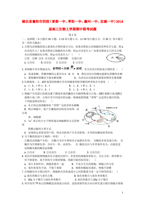湖北省襄阳市四校(曾都一中、枣阳一中、襄州一中、宜城一中)高三生物上学期期中联考试题