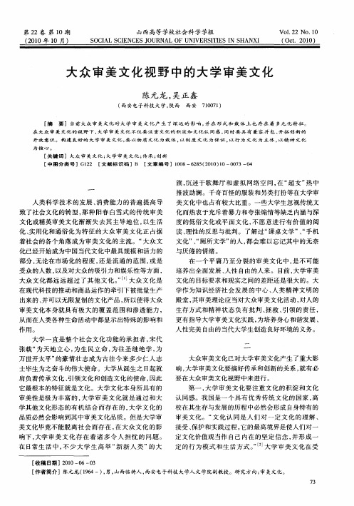 大众审美文化视野中的大学审美文化
