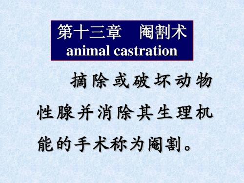 第十三章    阉割术