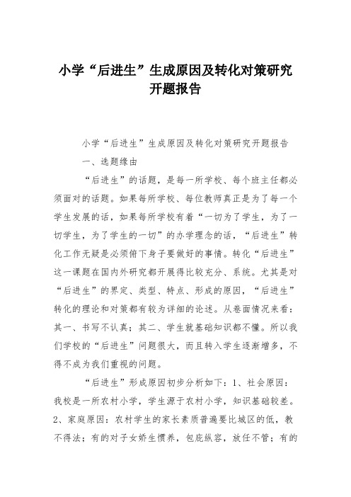小学“后进生”生成原因及转化对策研究开题报告