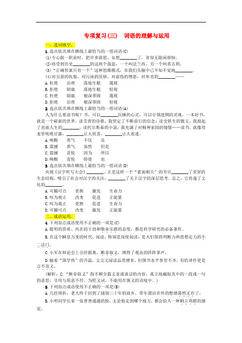 (人教部编版)九年级语文上册专项复习3词语的理解与运用 同步练习 配套练习