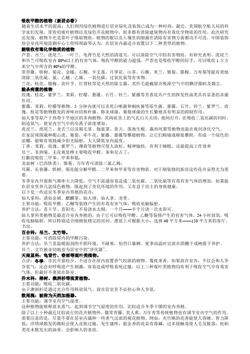吸收甲醛的植物