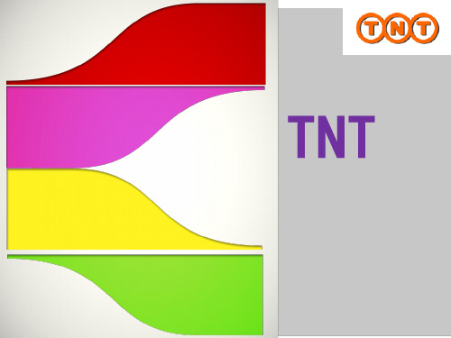 TNT物流公司