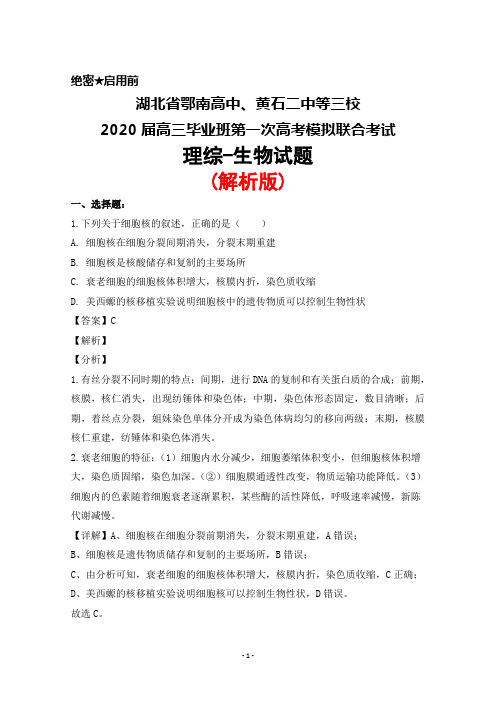 湖北省鄂南高中、黄石二中等三校2020届高三毕业班第一次高考模拟联考理综生物试题(解析版)