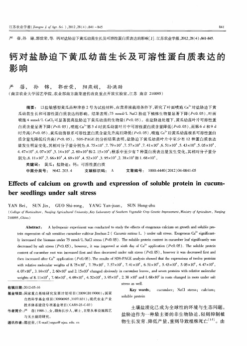 钙对盐胁迫下黄瓜幼苗生长及可溶性蛋白质表达的影响