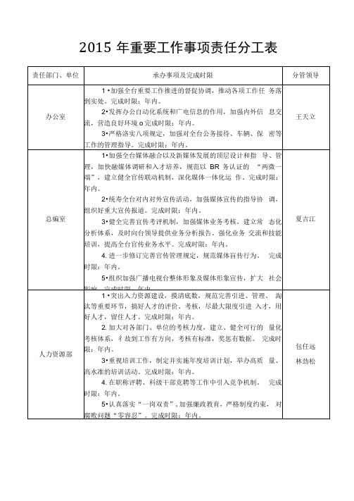 重要工作事项责任分工表