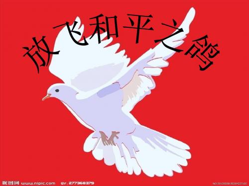 放飞和平之鸽
