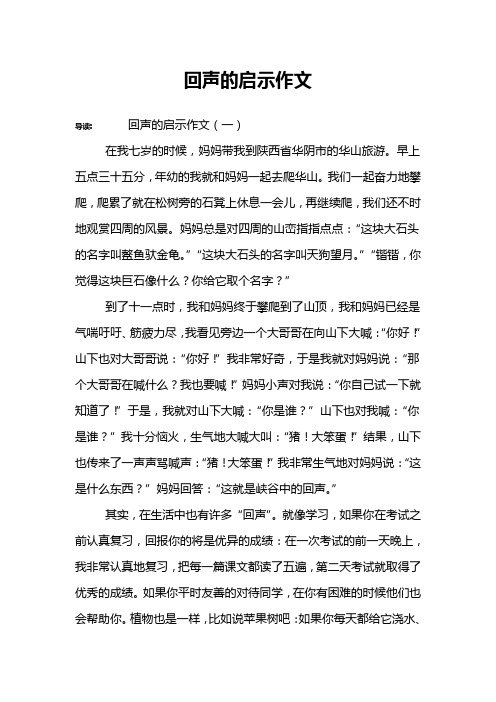 回声的启示作文
