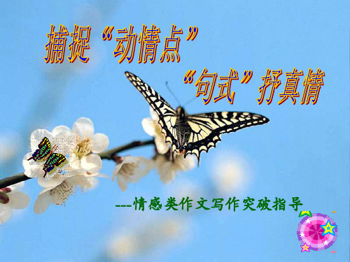 捕捉动情点句式抒真情--情感类作文写作突破指导(共24张PPT)