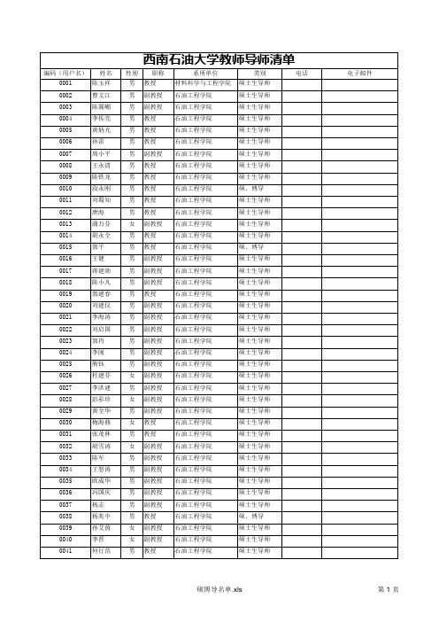 西南石油大学教师导师清单