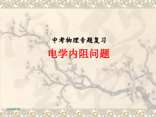 人教版九年级全一册物理： 电学内阻问题
