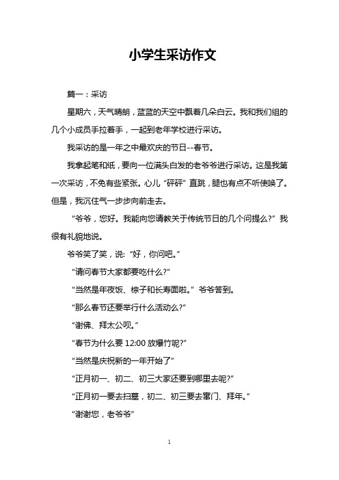 小学生采访作文