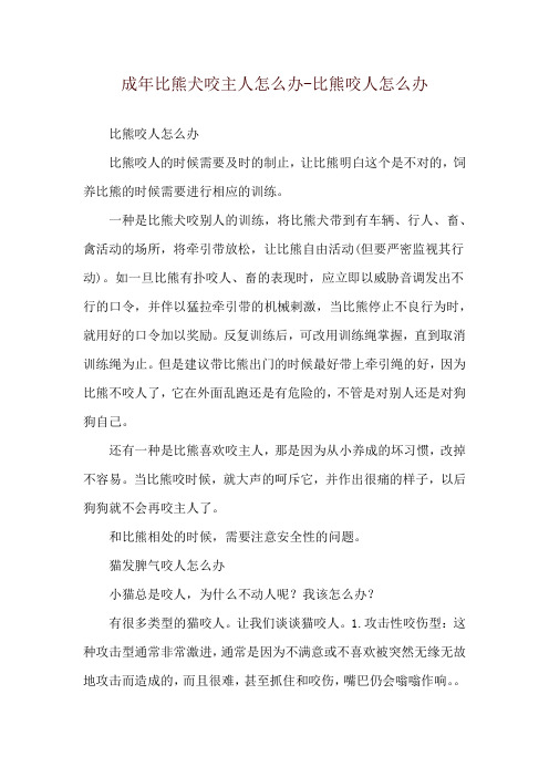 成年比熊犬咬主人怎么办-比熊咬人怎么办