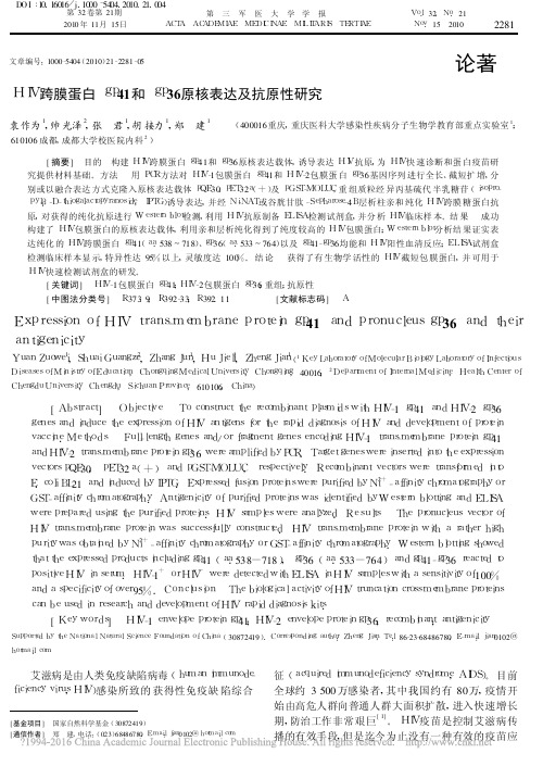 HIV跨膜蛋白gp41和gp36原核表达及抗原性研究_袁作为