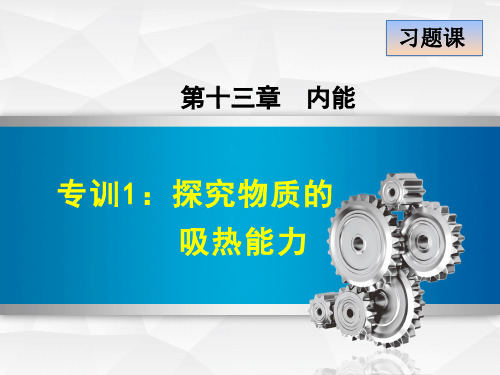 专训1：探究物质的吸热能力  公开课一等奖课件