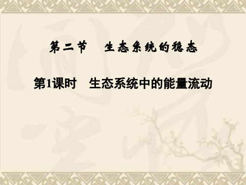 高中生物 4-2-1生态系统中的能量流动课件 苏教版必修3