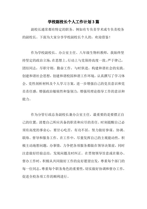 2021年学校副校长个人工作计划3篇