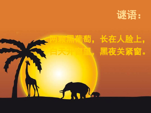 爱眼护眼主题班会PPT幻灯片