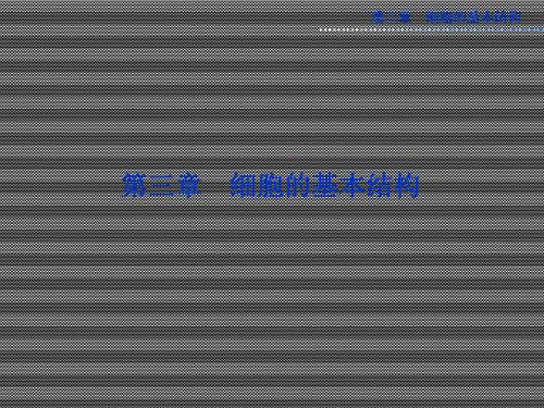 2013年人教版生物必修1全册精品课件第三章第1节《细胞膜──系统的边界》