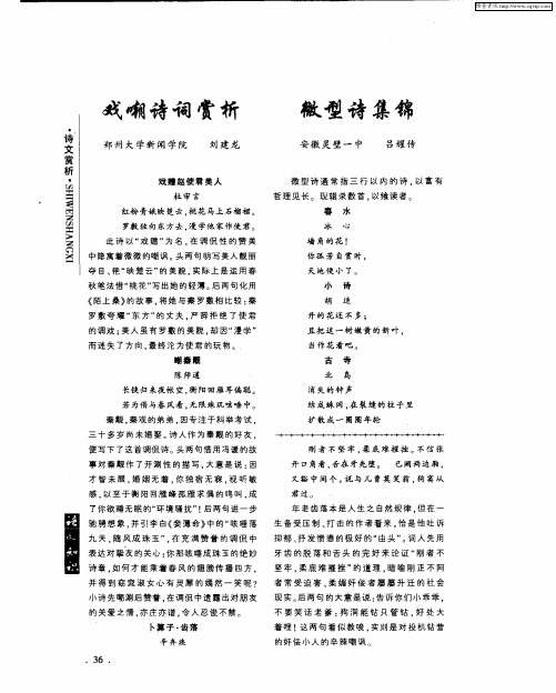微型诗集锦