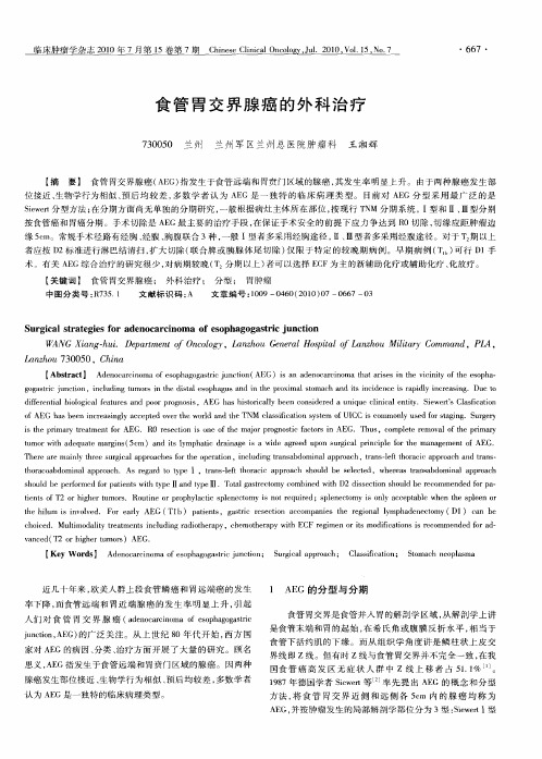 食管胃交界腺癌的外科治疗