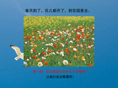 一年级上册美术-1、《美妙的小世界》 l岭南版(17页)ppt课件