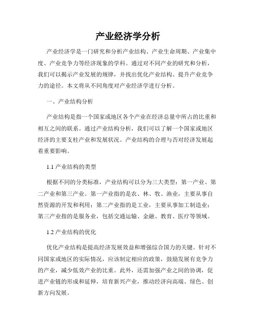 产业经济学分析