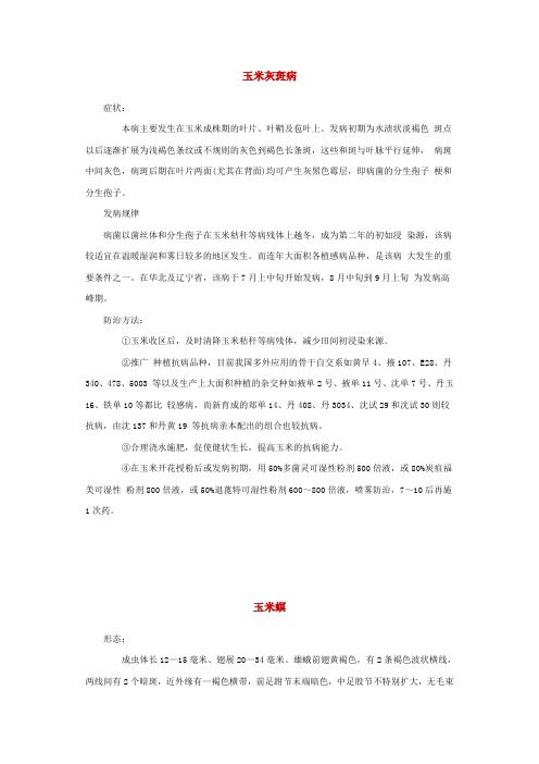 玉米常见病与防治措施