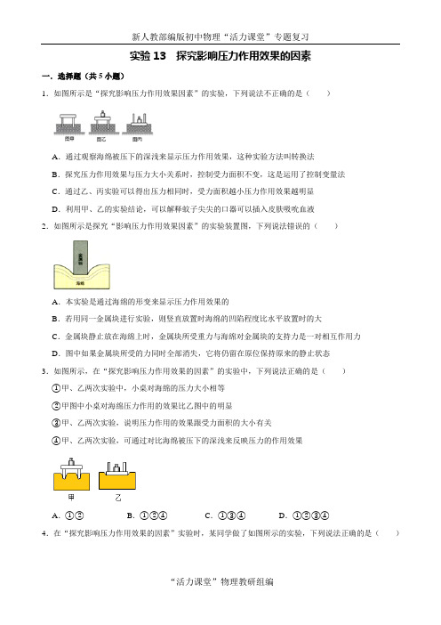 中考物理必考专题突破 实验13  探究影响压力作用效果的因素(原卷版)