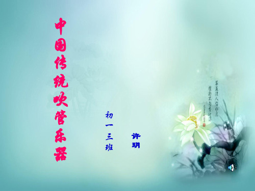 我国传统吹管乐器