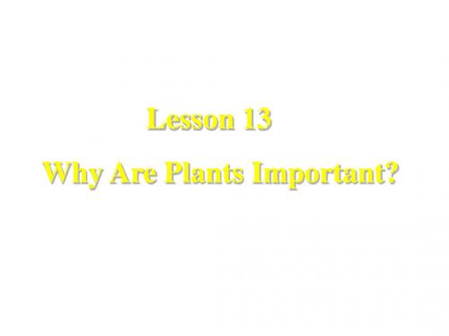 八年级英语plant-a-plant课件3